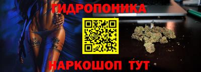 прущие крисы Мариинск