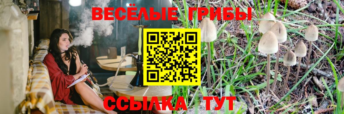 Псилоцибиновые грибы Cubensis  Вход с VPN  Фролово  Галлюциногенные грибы мухоморы 